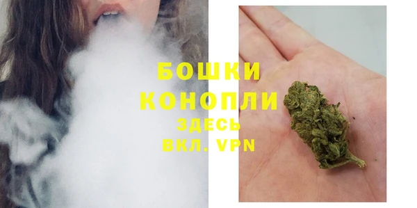 амф Вяземский