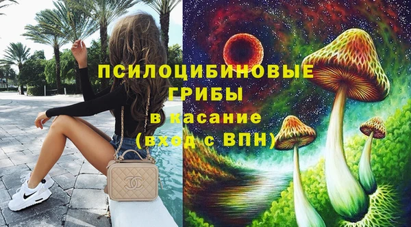 прущая мука Вязники
